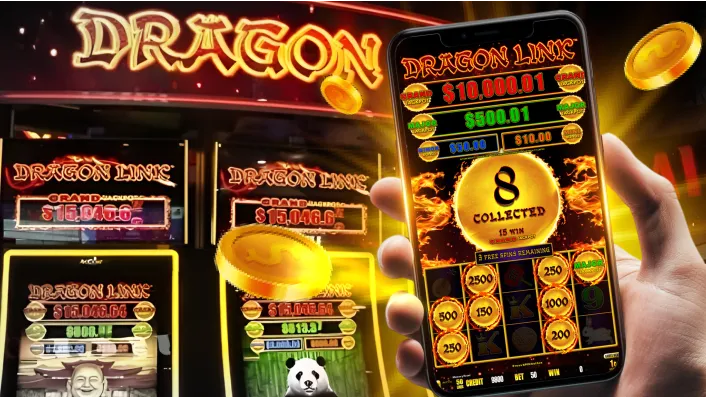 Live casino table with a dealer